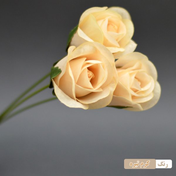 شاخه گل رز مصنوعی بسته 3 عددی ارتفاع 30 سانتیمتر وزن سبک 40 گرم مناسب تزئینات و دکوراسیون داخلی